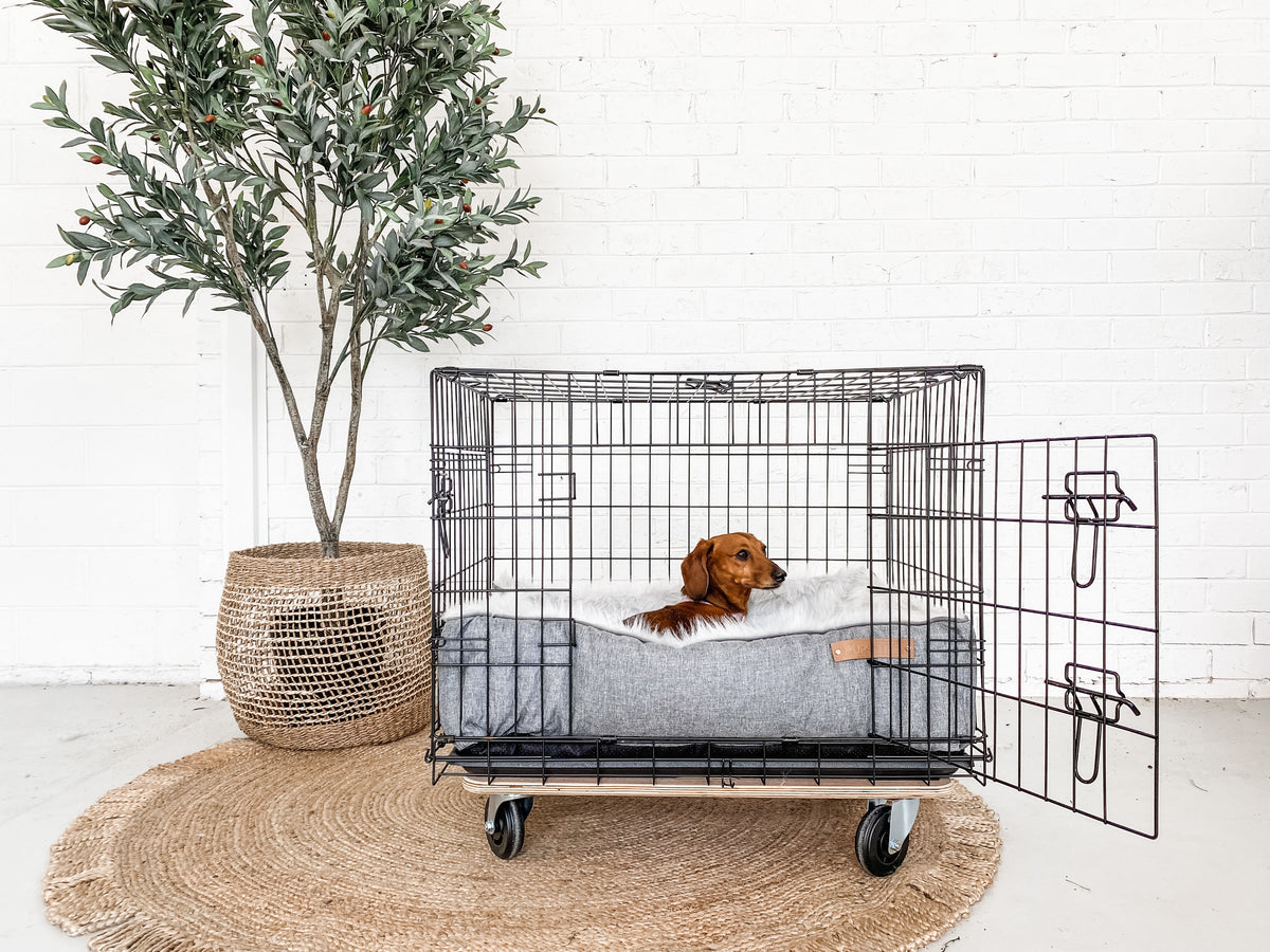 Creating a Comfortable Sleep Environment for Your Bernedoodle: Bedding and  Crate Tips - Arrow T Pets