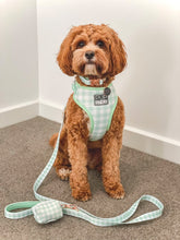 Sweet Apple Harness