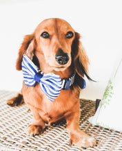 Stripe Squad Bow