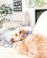 Stripe Squad Bow