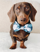 Palm Vibes Bow (Seconds)