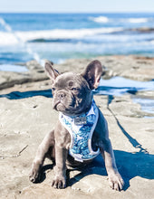 Palm Vibes Harness